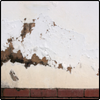 Rising Damp & Damp Walls